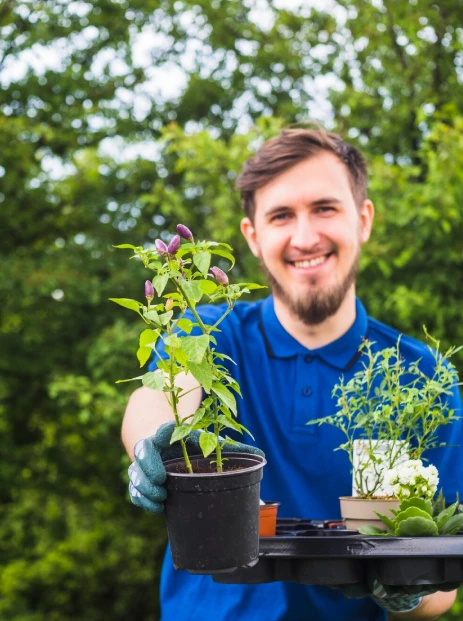 Why Choose a Landscaping Company for Tree & Plant Care