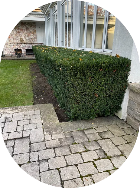 landscapingservices