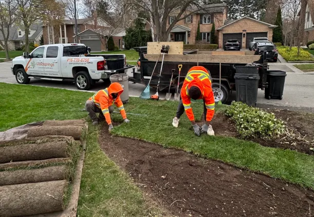 Sod Installation