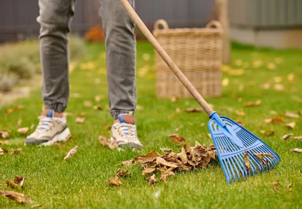 Spring & Fall Clean up