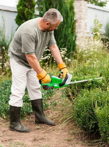 Why Choose a Landscaping Company for Turf Care