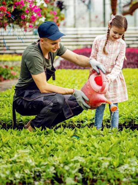 Why Choose a Landscaping Partner for Commercial Turf Care